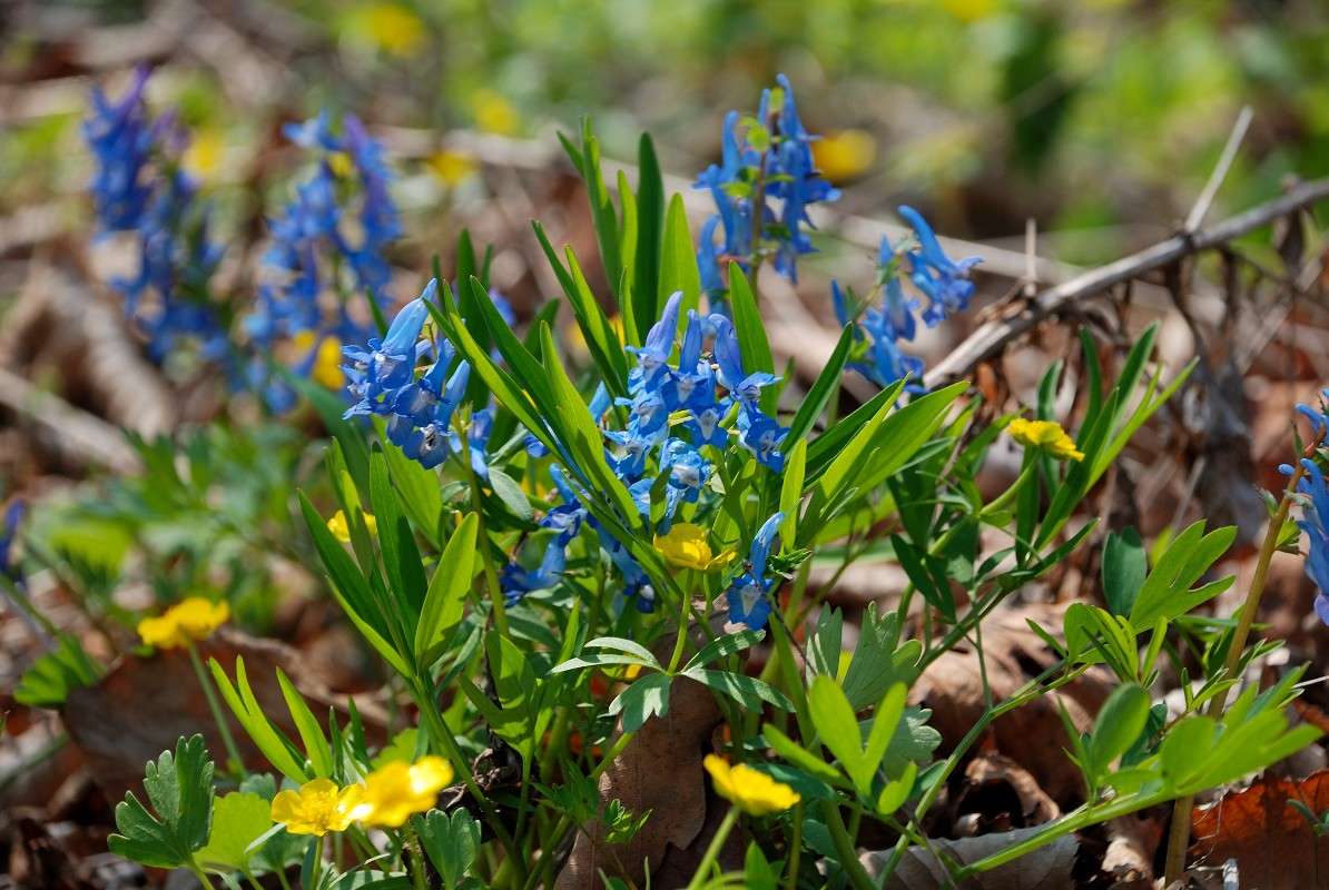 ����� ������ �������� ������! ����� ����� ������ �� PhotoGeek.ru #������ ��� ������� #����� �������������� #��������� #����� ��������