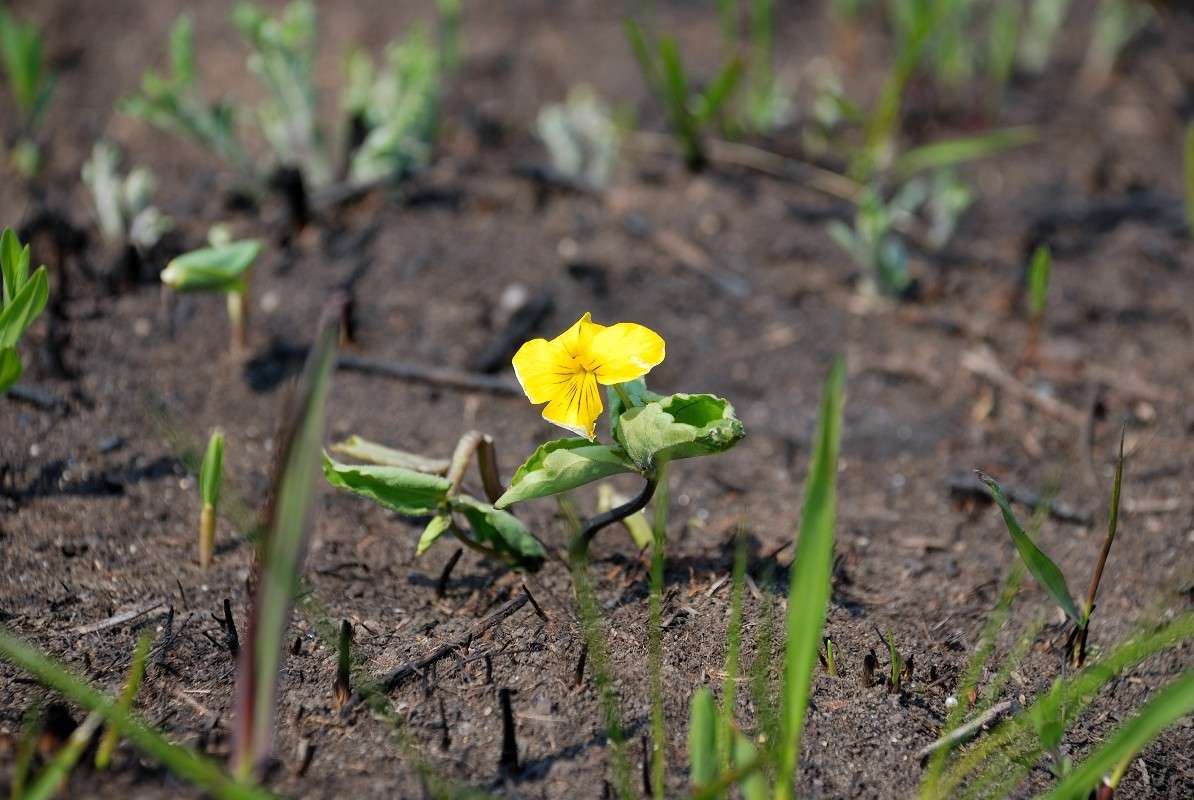 �� ��������� �����... ����� ����� ������ �� PhotoGeek.ru #������ ��� ������� #����� �������������� #����� ��������