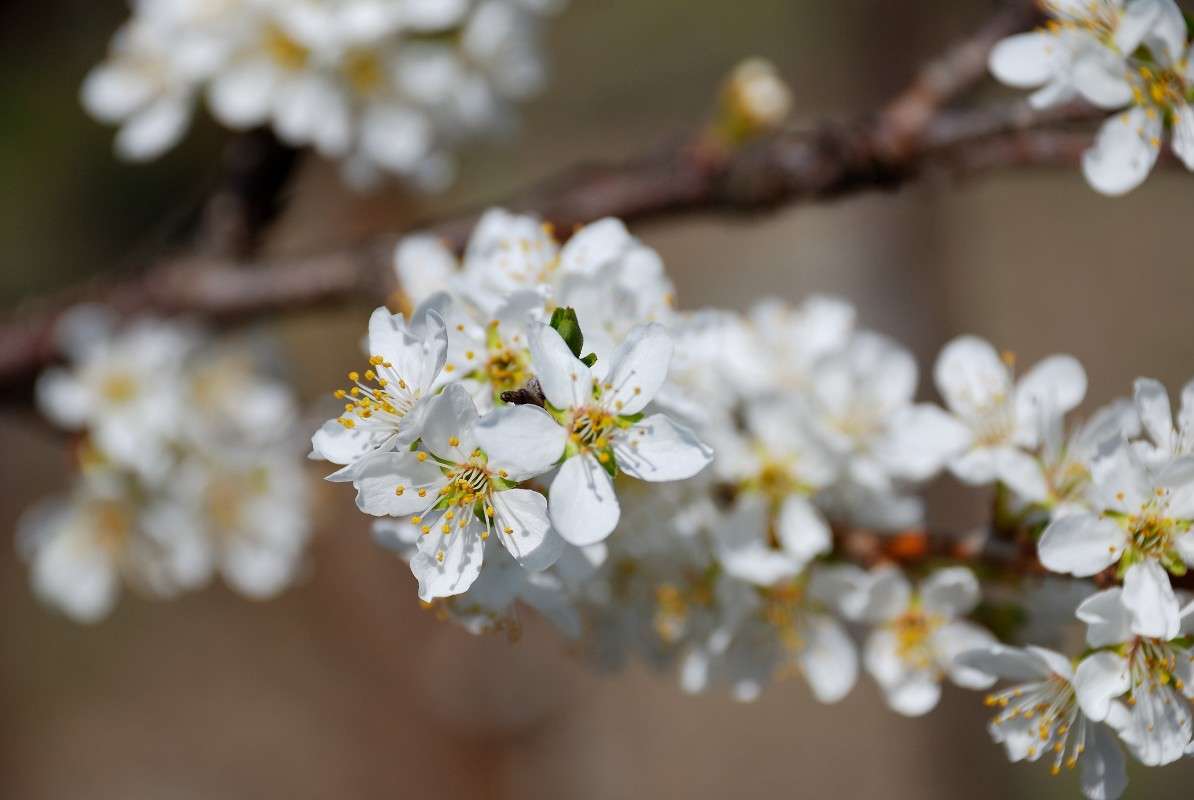 ��������... ����� ����� ������ �� PhotoGeek.ru #������ ��� ������� #����� �������������� #����� ��������