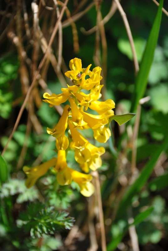 �������... ����� ����� ������ �� PhotoGeek.ru #������ ��� ������� #����� �������������� #����� ��������