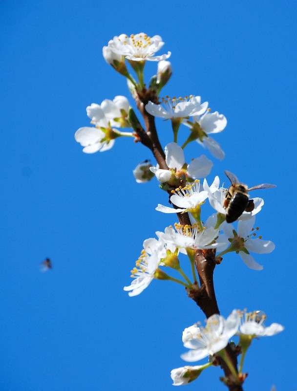 ������������ ����� ��� �������! ����� ����� ������ �� PhotoGeek.ru #������ ��� ������� #����� �������������� #����� ��������