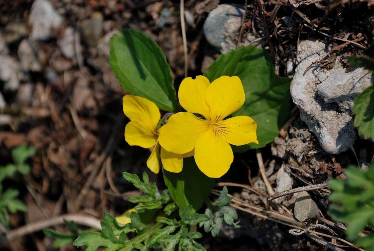 ...� �� ������ ������ �����! ����� ����� ������ �� PhotoGeek.ru #������ ��� ������� #����� �������������� #����� ��������