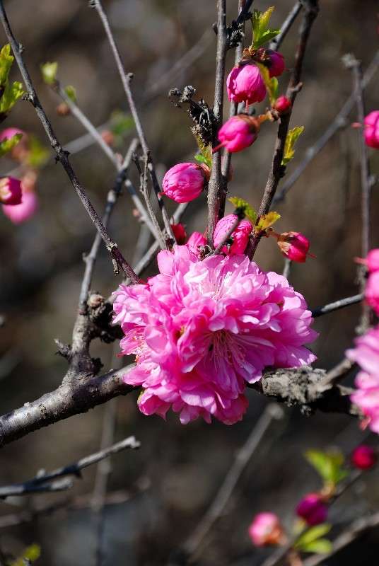 ���������� ��-�������! ����� ����� ������ �� PhotoGeek.ru #������ ��� ������� #����� �������������� #����� ��������