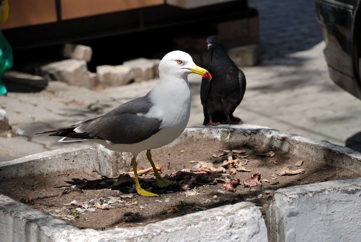 ��� � ����� �� ����? ����� ����� ������ �� PhotoGeek.ru #����� #�������� ��� #��������� ������