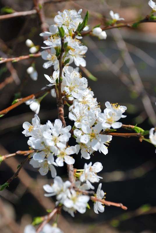 ���� ��� � ��� ���� ������... ����� ����� ������ �� PhotoGeek.ru #������ ��� ������� #����� �������������� #����� ��������