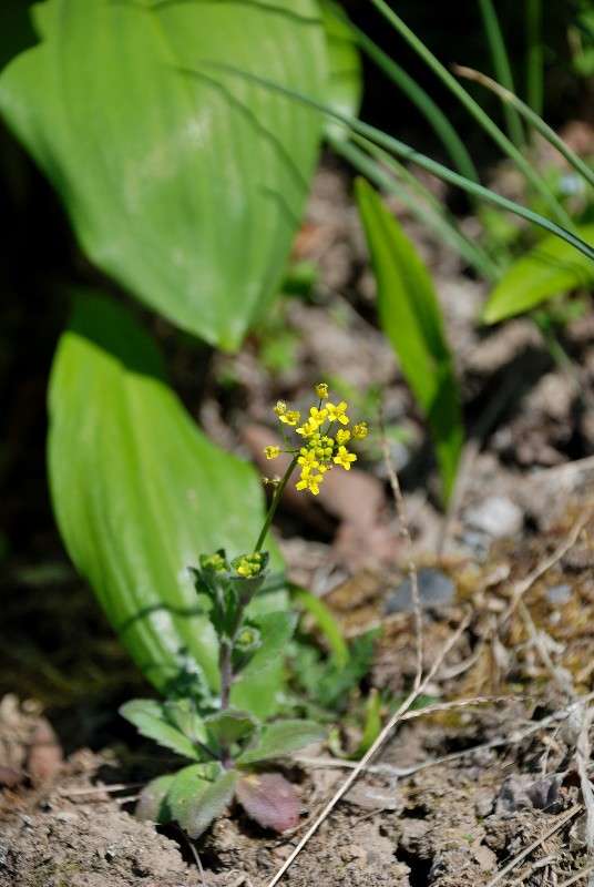 ��������... ����� ����� ������ �� PhotoGeek.ru #������ ��� ������� #����� �������������� #����� ��������