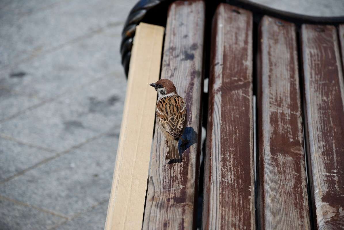 � ������ ���������?! ����� ����� ������ �� PhotoGeek.ru #����� #�������� ���