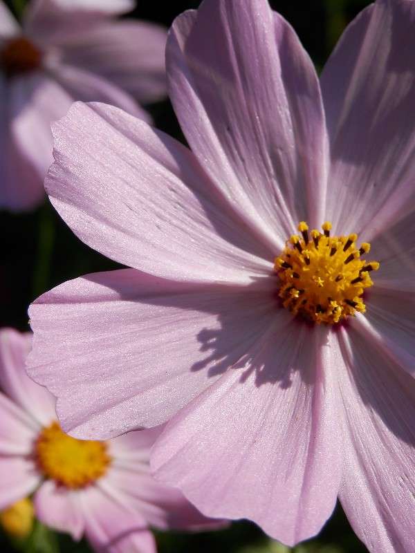 ... �����   �� PhotoGeek.ru #����� #����� ��������������