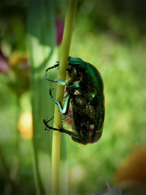 ... �����   �� PhotoGeek.ru #����� #���������