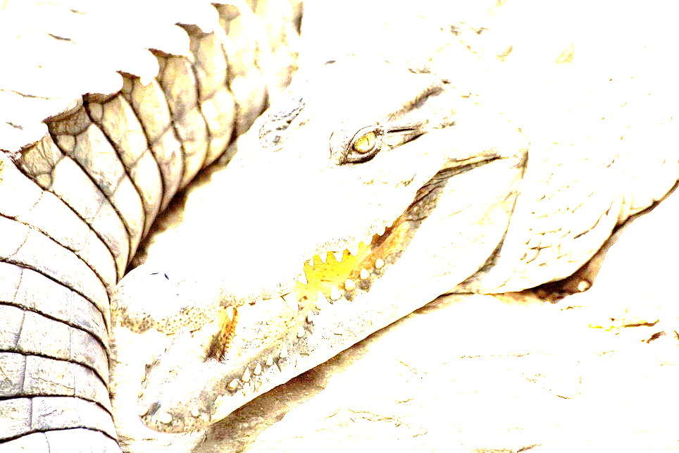 ... ����� ����� ��������� �� PhotoGeek.ru #�������� ���