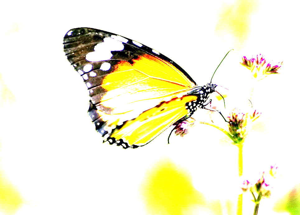 ... ����� ����� ��������� �� PhotoGeek.ru #�������� ���