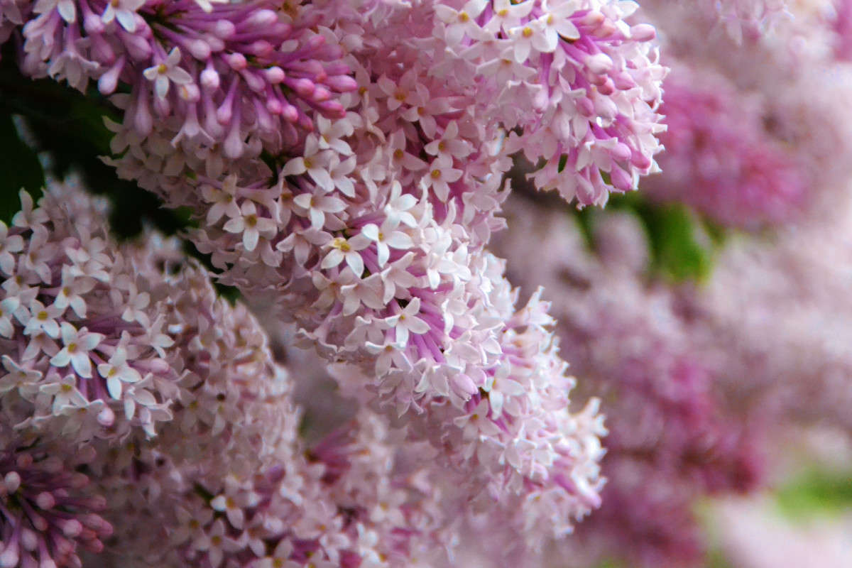 ... ����� ���� ������ ���������  �� PhotoGeek.ru #����� #������ ��� ������� #����� ��������������