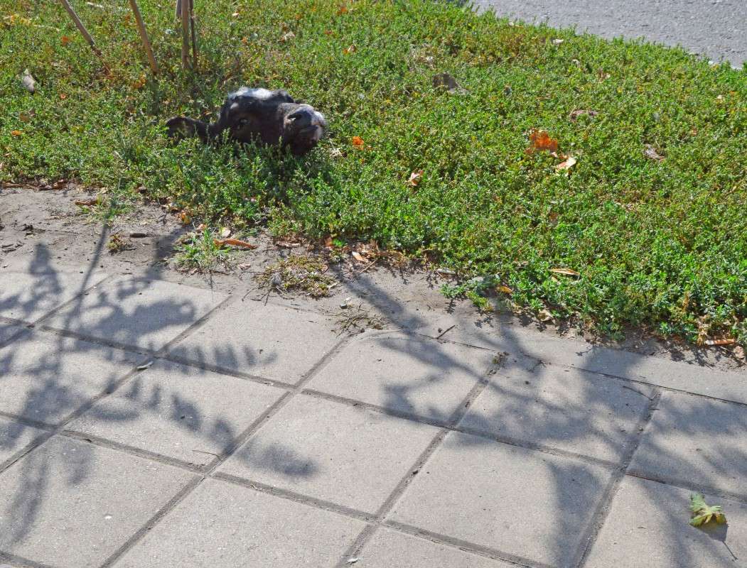 ������ ������ � �������� ����� ������  �� PhotoGeek.ru #�������� ���