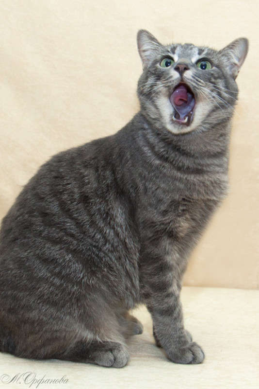 ���� ����� ������ �������� �� PhotoGeek.ru #�������� ���