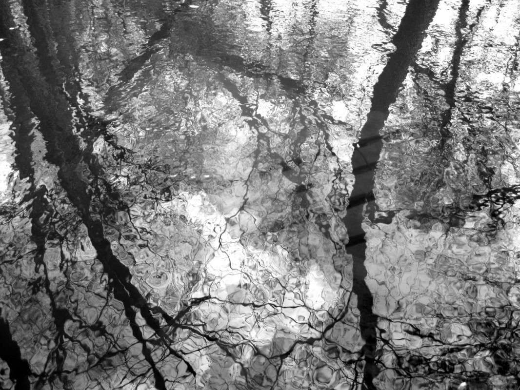 ��������� ����� ����� ������ �� PhotoGeek.ru #������ ��� �������