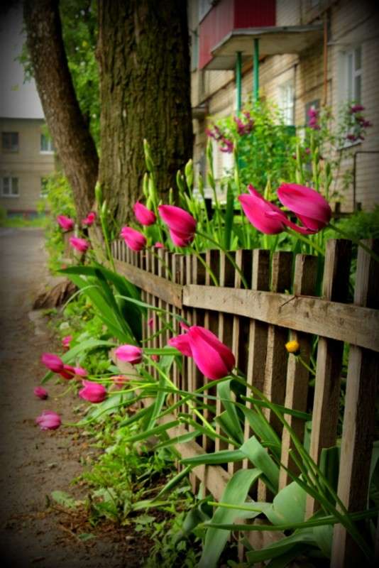 �� ���� ����� ����� ������ �� PhotoGeek.ru #������ ��� ������� #����� ��������������