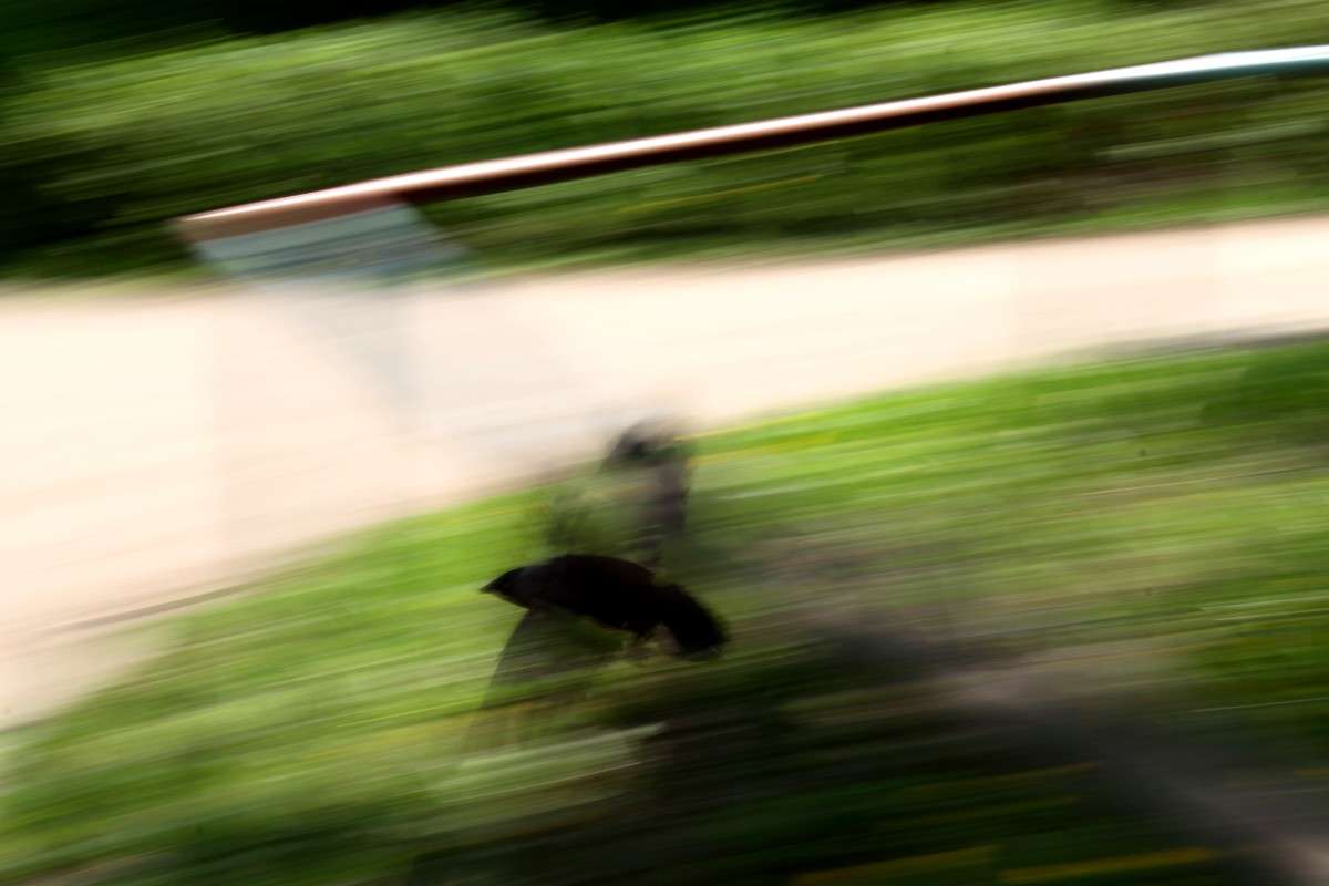 �������� ������� ����� ����� ������ �� PhotoGeek.ru #�������� ��� #����� ��� ��� ���������