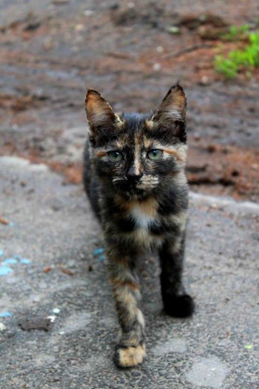 ��� ����� ����� ������ �� PhotoGeek.ru #�������� ��� #����� ��� ��� ���������