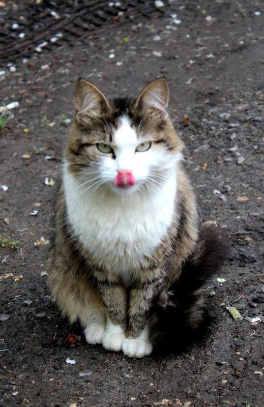 ������� ��� ����� ����� ������ �� PhotoGeek.ru #�������� ��� #����� ��� ��� ���������