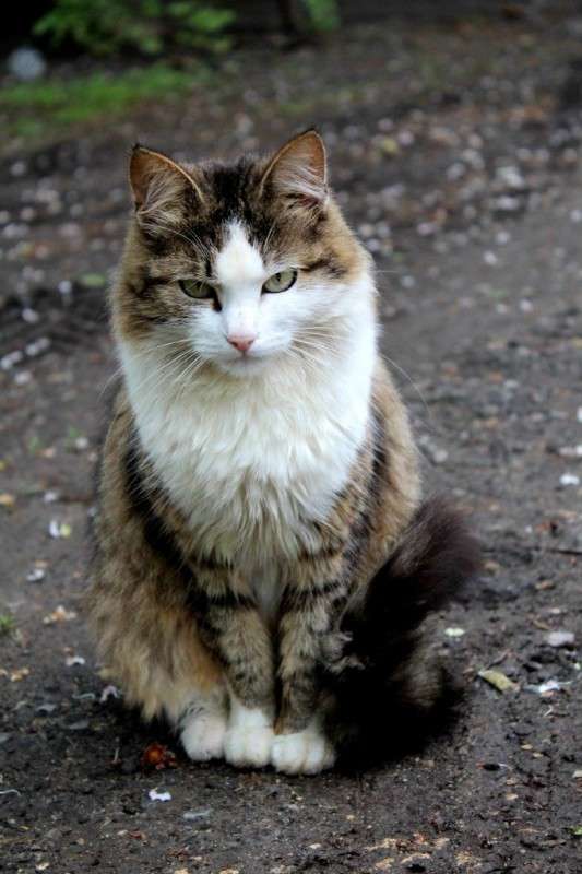 * ����� ����� ������ �� PhotoGeek.ru #�������� ��� #����� ��� ��� ���������