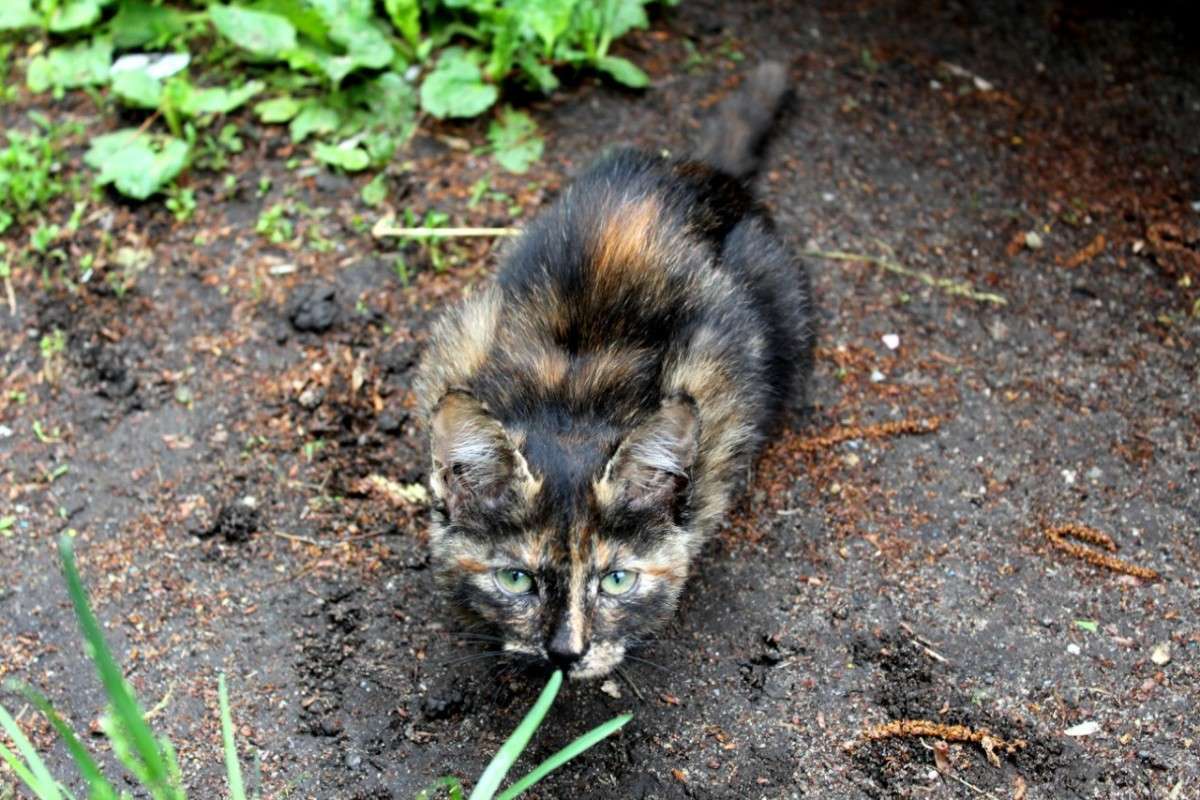 * ����� ����� ������ �� PhotoGeek.ru #�������� ��� #����� ��� ��� ���������