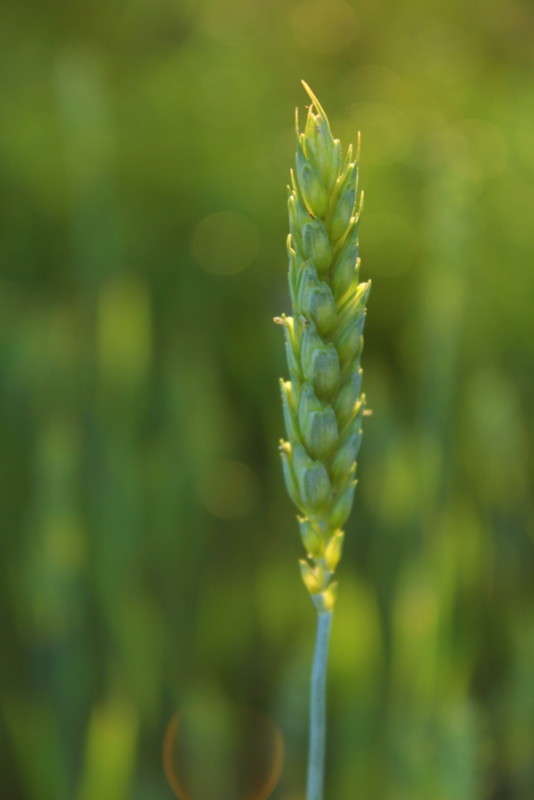 ������� ����� ����� ������ �� PhotoGeek.ru #����� #������ ��� �������