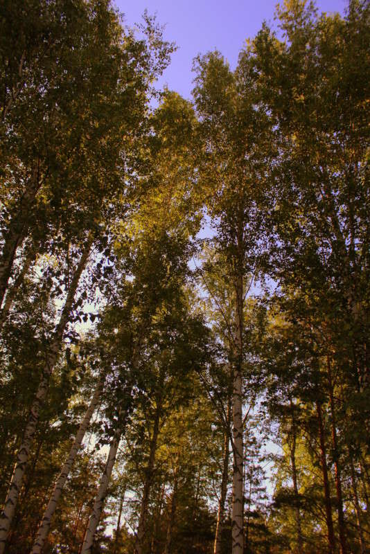 ���� ����� ����� ������ �� PhotoGeek.ru #������ ��� ������� #����� ��������������