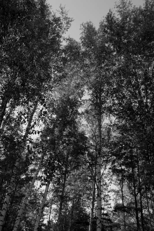 ���� ����� ����� ������ �� PhotoGeek.ru #������ ��� ������� #�����-�����