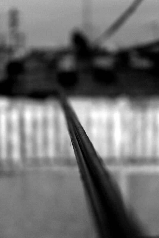 ���� � ������������ ����� ����� ������ �� PhotoGeek.ru #�������� ���������� #�����-�����