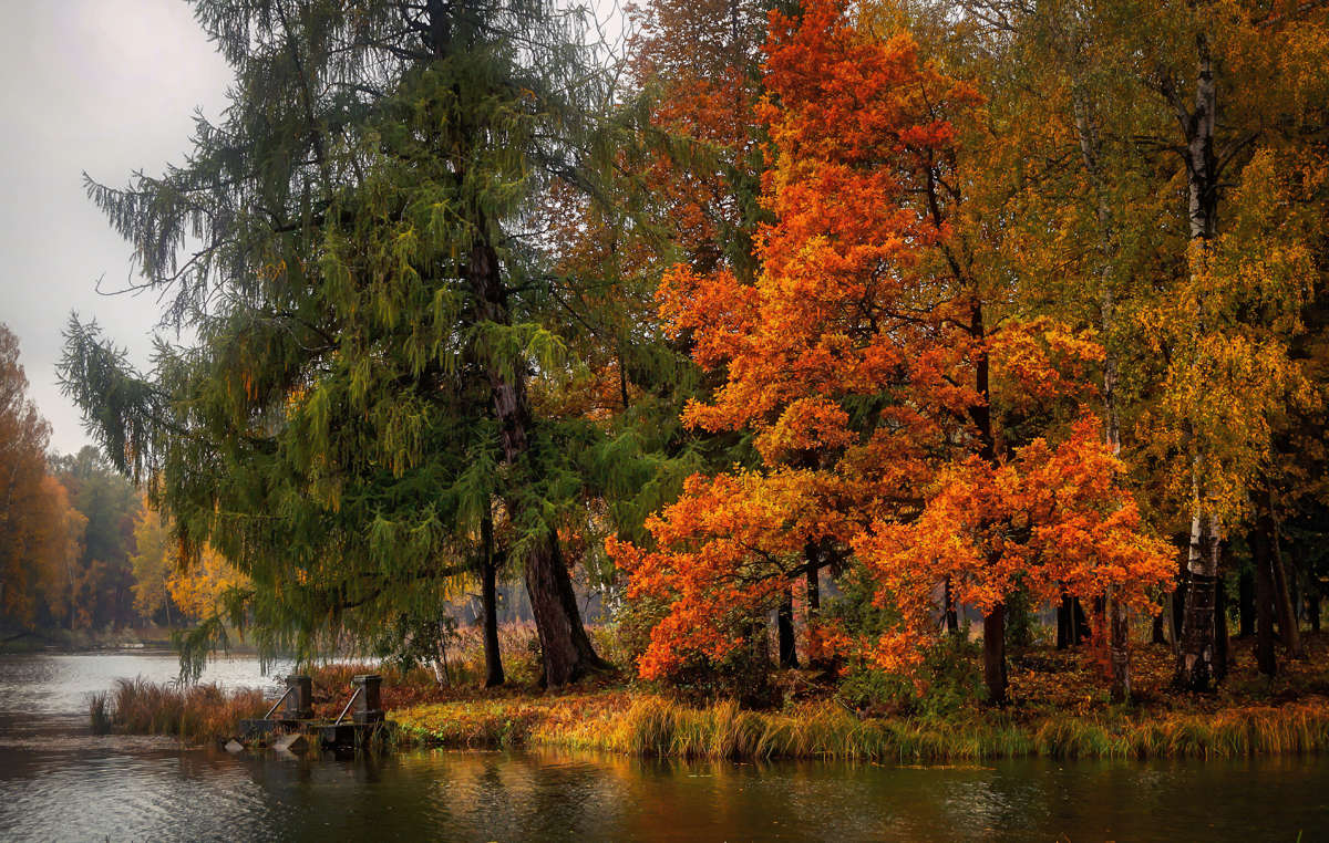Краски осени автор Олег  на PhotoGeek.ru #Пейзаж или природа #Вода #Время года #День #Красота #Листва #Озеро #Осень #Парк #Среда обитания #Цвет