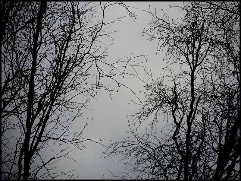 ... ����� Tamara Belo �� PhotoGeek.ru #������ ��� ������� #�����-�����