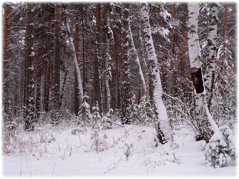 ... ����� Tamara Belo �� PhotoGeek.ru #������ ��� �������