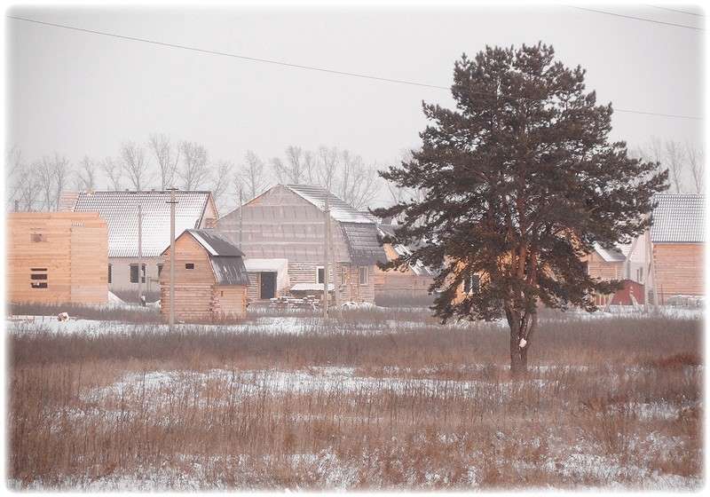 ... ����� Tamara Belo �� PhotoGeek.ru #������ ��� �������