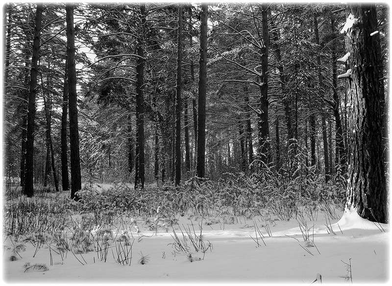 ... ����� Tamara Belo �� PhotoGeek.ru #������ ��� ������� #�����-�����