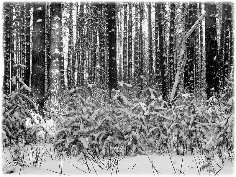 ... ����� Tamara Belo �� PhotoGeek.ru #������ ��� ������� #�����-�����