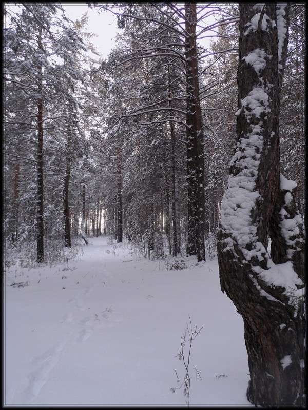 ... ����� Tamara Belo �� PhotoGeek.ru #������ ��� �������