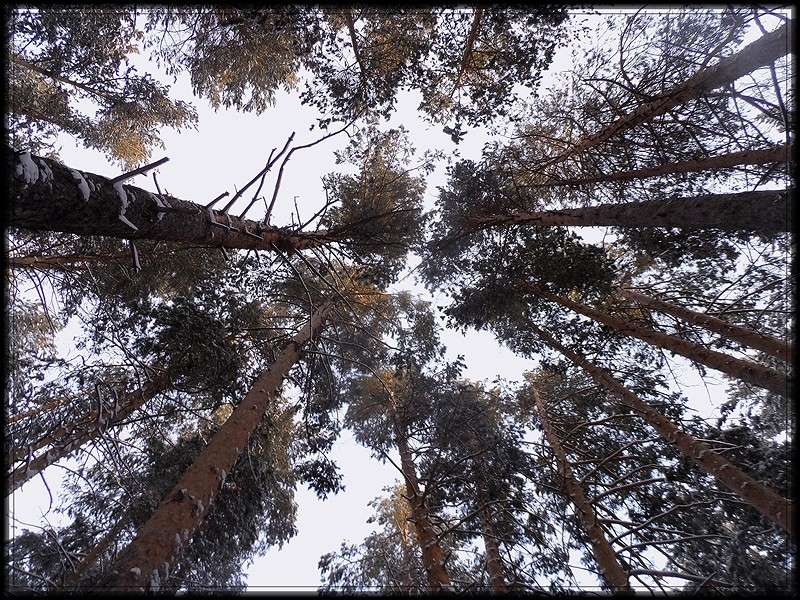 ... ����� Tamara Belo �� PhotoGeek.ru #������ ��� �������