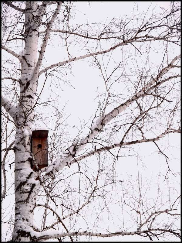 ... ����� Tamara Belo �� PhotoGeek.ru #������ ��� �������