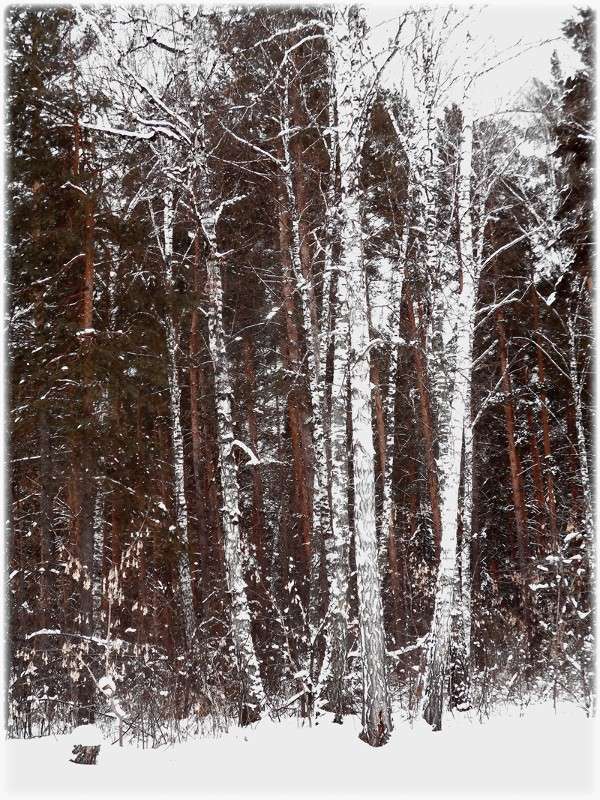 ... ����� Tamara Belo �� PhotoGeek.ru #������ ��� �������