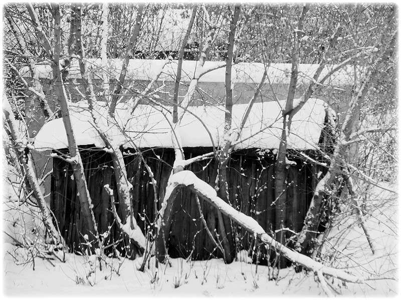 ... ����� Tamara Belo �� PhotoGeek.ru #�����������