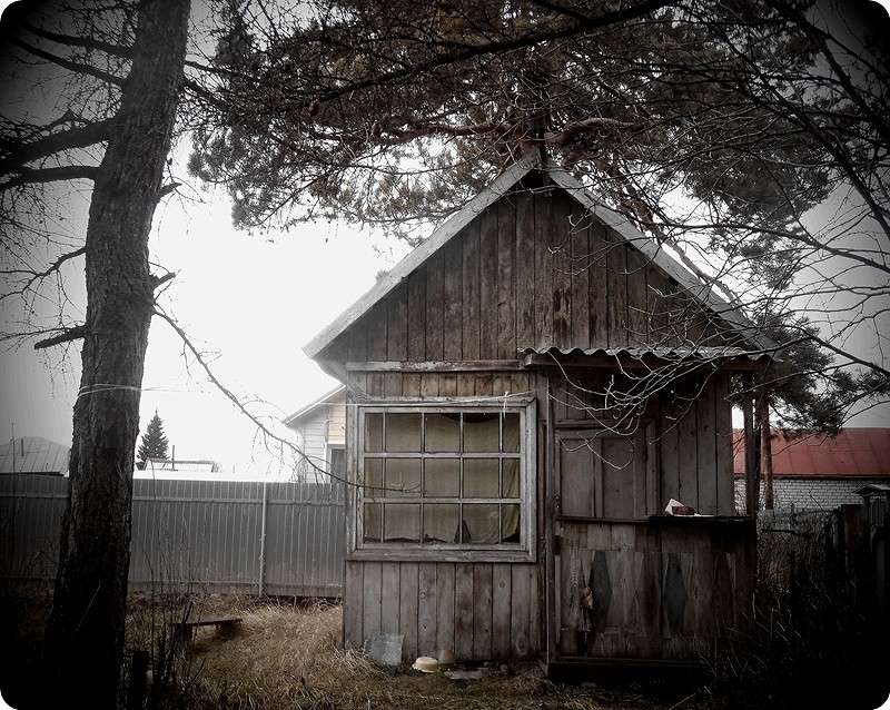 ... ����� Tamara Belo �� PhotoGeek.ru #�����������