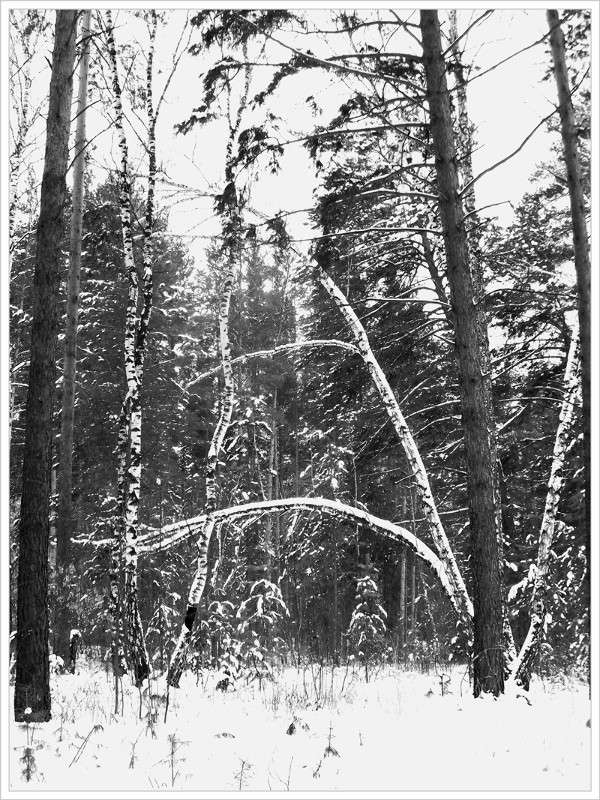 ... ����� Tamara Belo �� PhotoGeek.ru #������ ��� ������� #�����-�����