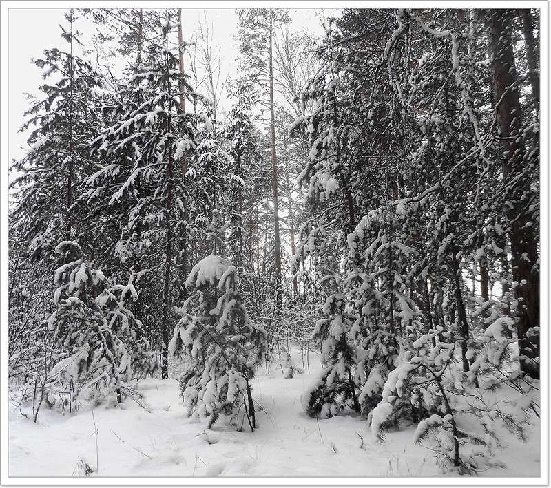 ... ����� Tamara Belo �� PhotoGeek.ru #������ ��� �������