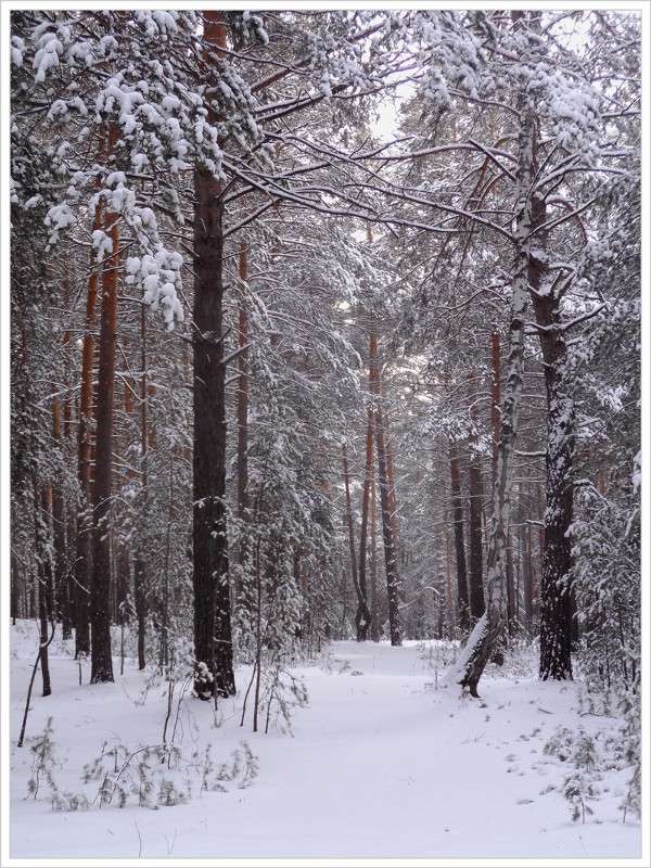 ... ����� Tamara Belo �� PhotoGeek.ru #������ ��� �������