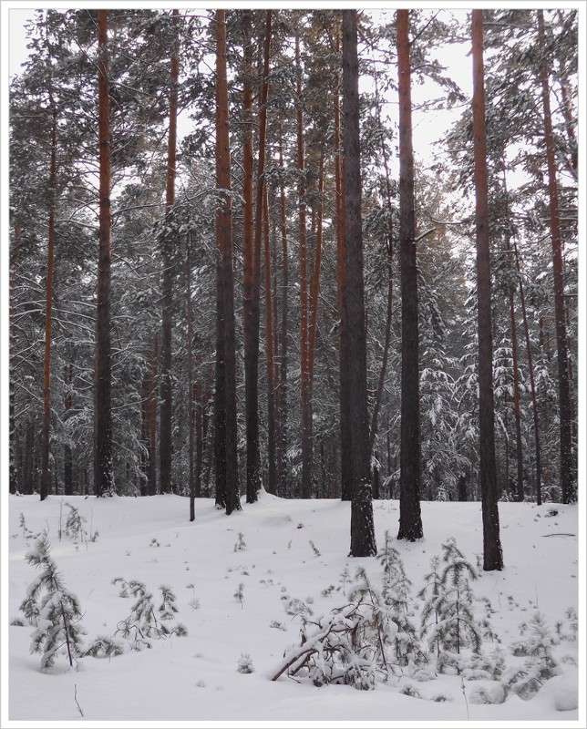 ... ����� Tamara Belo �� PhotoGeek.ru #������ ��� �������