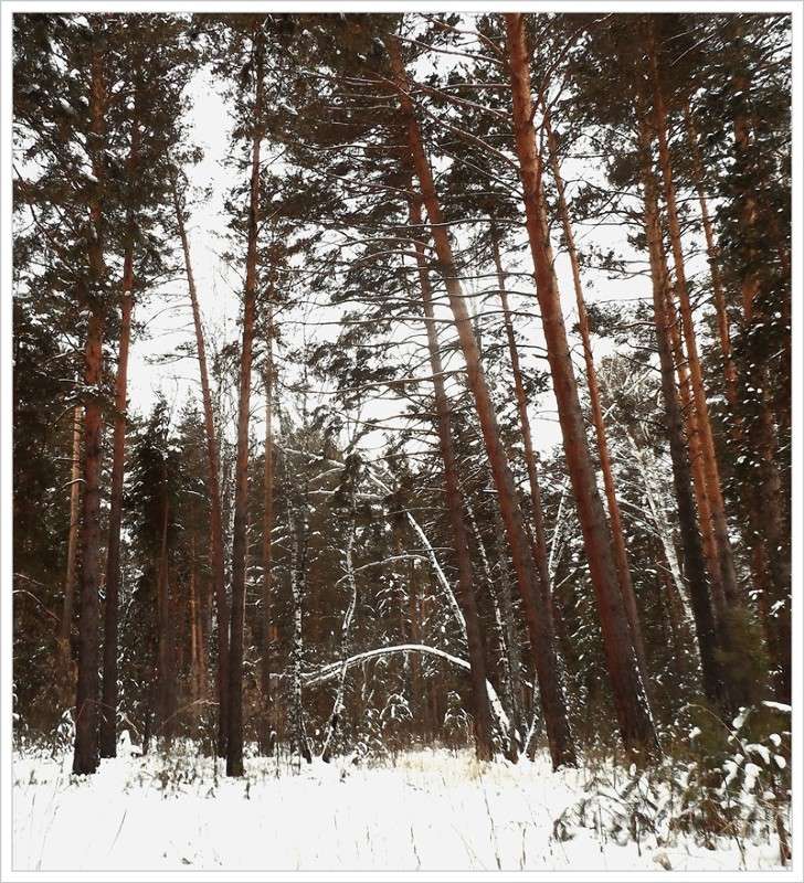 ... ����� Tamara Belo �� PhotoGeek.ru #������ ��� �������