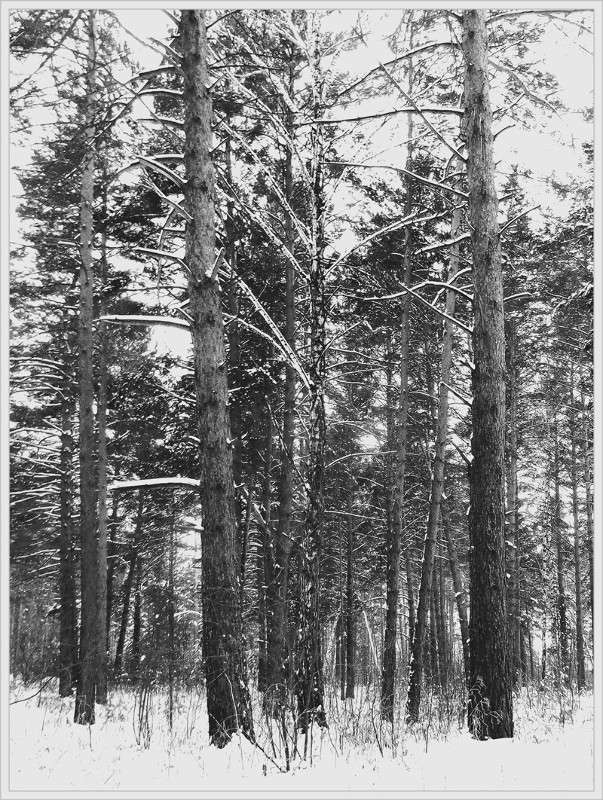 ... ����� Tamara Belo �� PhotoGeek.ru #������ ��� �������