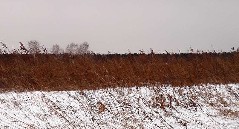 ... ����� Tamara Belo �� PhotoGeek.ru #������ ��� �������