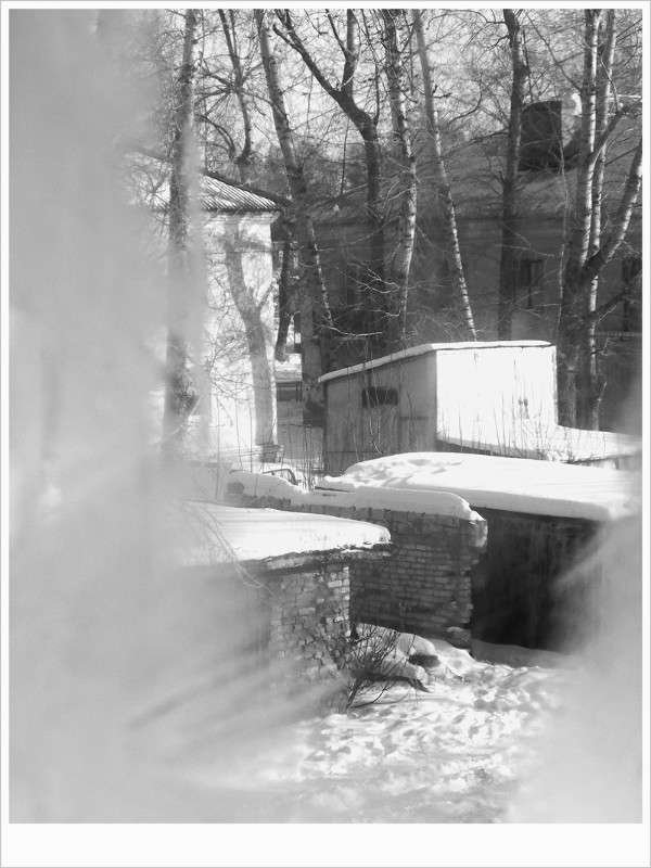 ... ����� Tamara Belo �� PhotoGeek.ru #�����