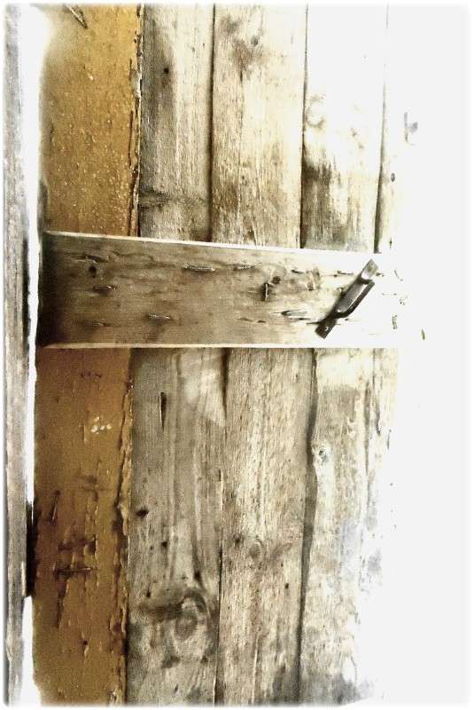 ... ����� Tamara Belo �� PhotoGeek.ru #�����������